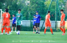 ĐT Việt Nam vẫn chưa có đầy đủ lực lượng