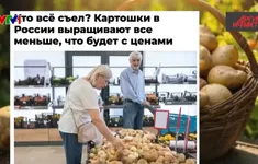 Nga đối mặt khủng hoảng thiếu khoai tây chưa từng có