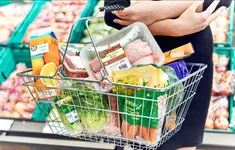 Ngày đầu hộ kinh doanh triển khai hóa đơn điện tử