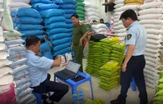 Hà Nội: Phát hiện hàng loạt vụ việc kinh doanh gạo ST25 giả mạo nhãn hiệu