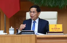 Phó Thủ tướng Bùi Thanh Sơn tiếp đoàn chuyên gia, nhà khoa học Việt Nam ở nước ngoài