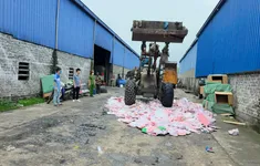 Tiêu hủy gần 2.000 gấu bông “Baby Three” chứa chất độc hại