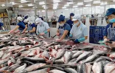 Xuất khẩu thủy sản tăng 14% so với cùng kỳ