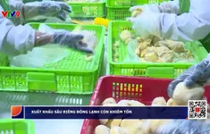 Lô sầu riêng đông lạnh đầu tiên được xuất khẩu