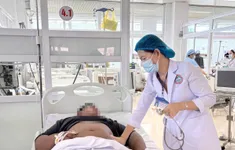 Đắk Lắk: 8 người ngộ độc sau bữa ăn nấm rừng, 1 ca tổn thương gan thận