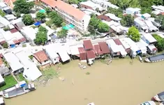 Sạt lở 'bủa vây' Đồng bằng sông Cửu Long