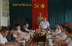 Thanh tra toàn diện Công ty TNHH Một thành viên cà phê Gia Lai