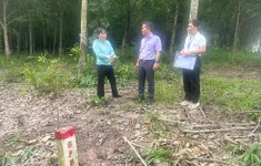 Nhiều hộ dân giao mặt bằng làm cao tốc mà chưa cần nhận đền bù