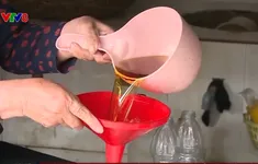 Nghị quyết 68 tạo động lực phát triển nghề chế biến thủy sản
