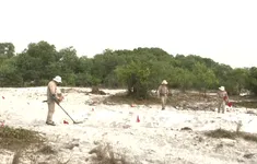 Rà phá bom mìn - Công việc thầm lặng vì môi trường