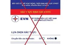 Hơn 1 tỷ đồng “bốc hơi” sau vài thao tác với app điện lực giả mạo