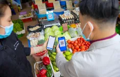 Sử dụng thủ thuật né truy thu thuế, có thể bị truy cứu trách nhiệm hình sự