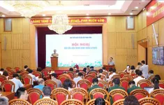 Xử lý nghiêm tổ chức, cá nhân bảo kê cho buôn lậu, gian lận thương mại và hàng giả