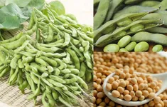Thúc đẩy xuất nhập khẩu nông sản Việt Nam - Mỹ