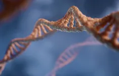 Phát hiện gene đột biến giúp con người khỏe mạnh dù chỉ ngủ 3 tiếng mỗi đêm