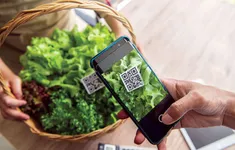 Truy xuất nguồn gốc để nhận diện gian lận thương mại, xuất khẩu bền vững