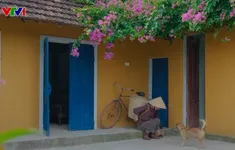 Nở rộ trào lưu quảng bá các miền quê trên mạng xã hội