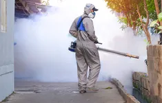 Cảnh giác với nguy cơ sốt xuất huyết tại những khu vực công cộng