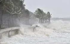 Xuất hiện vùng áp thấp ở Biển Đông, có khả năng mạnh lên thành áp thấp nhiệt đới