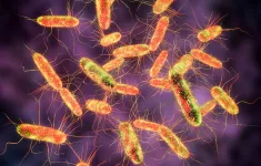 Tìm ra ‘thủ phạm’ không thể ngờ gây nhiễm khuẩn Salmonella tại Mỹ