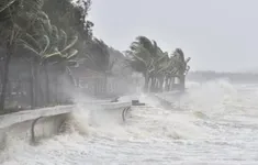 Công điện ứng phó áp thấp nhiệt đới: Siết quản lý tàu thuyền, sẵn sàng cứu nạn