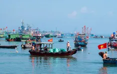 Hơn 400 người tham gia chiến dịch làm sạch bãi biển quy mô lớn tại Vịnh Nghi Sơn