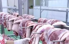 Trung Quốc gia hạn điều tra thịt lợn EU