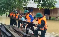 Hầu hết các phụ tải bị gián đoạn do bão số 1 đã được khôi phục cấp điện
