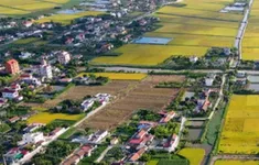 ĐBQH: Miễn thuế sử dụng đất nông nghiệp cần có điều kiện ràng buộc