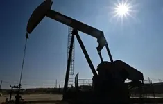 OPEC dự kiến nhu cầu dầu vượt 120 triệu thùng/ngày vào năm 2050