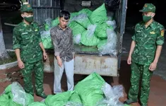 Liên tiếp phát hiện nhiều lô chân gà, chân lợn bẩn không rõ nguồn gốc