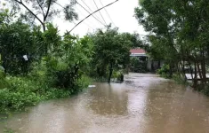 Đi giúp con gái chống lũ, người đàn ông bị điện giật tử vong