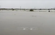 Bão số 1: Bộ Xây dựng chỉ đạo khẩn bảo đảm an toàn cho người và phương tiện giao thông