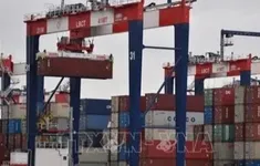 Hàng nhập khẩu qua cảng Mỹ giảm mạnh