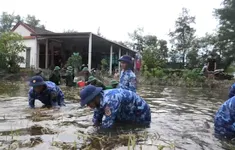 Vùng Cảnh sát biển 2 giúp dân thu hoạch lúa