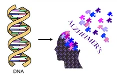 Chạy bộ giúp kích hoạt gene chống lại bệnh Alzheimer