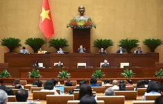 Truyền hình trực tiếp: Quốc hội biểu quyết thông qua Nghị quyết sửa đổi Hiến pháp