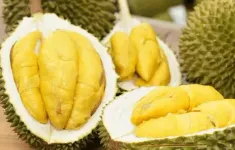 Sầu riêng đông lạnh Việt "rộng đường" vào Trung Quốc