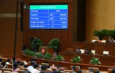 Người có ảnh hưởng không được quảng cáo nếu chưa dùng, hiểu sản phẩm
