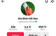 Chủ kênh TikTok “Gia đình Hải Sen” bị bắt vì nghi buôn bán hàng giả