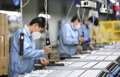 Công chức, viên chức không được thành lập, góp vốn và quản lý doanh nghiệp