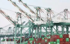 EU chưa thay đổi lập trường về thuế quan với Mỹ