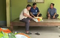 Nông dân "trắng tay" vì sập bẫy lúa giống giả