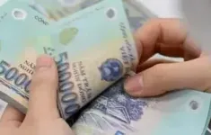 Cục Thuế: Không truy thu thuế khoán