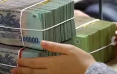 Nông nghiệp hữu cơ, tuần hoàn: Được vay tới 70% giá trị dự án không thế chấp