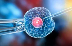 Bộ kit xét nghiệm di truyền EmbryoMap là bước tiến, không phải thay thế