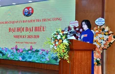 Bà Trần Thị Hiền giữ chức Bí thư Đảng ủy Cơ quan Ủy ban Kiểm tra Trung ương