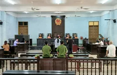 Nguyên Kế toán trưởng Ủy ban MTTQ Gia Lai lĩnh 20 năm tù vì tham ô hơn 4 tỷ đồng
