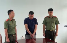 Đào trộm 800.000 m³ đất, Giám đốc doanh nghiệp ở Bắc Giang bị khởi tố