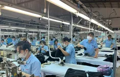 Kinh tế tư nhân: Đã đến lúc bứt phá
